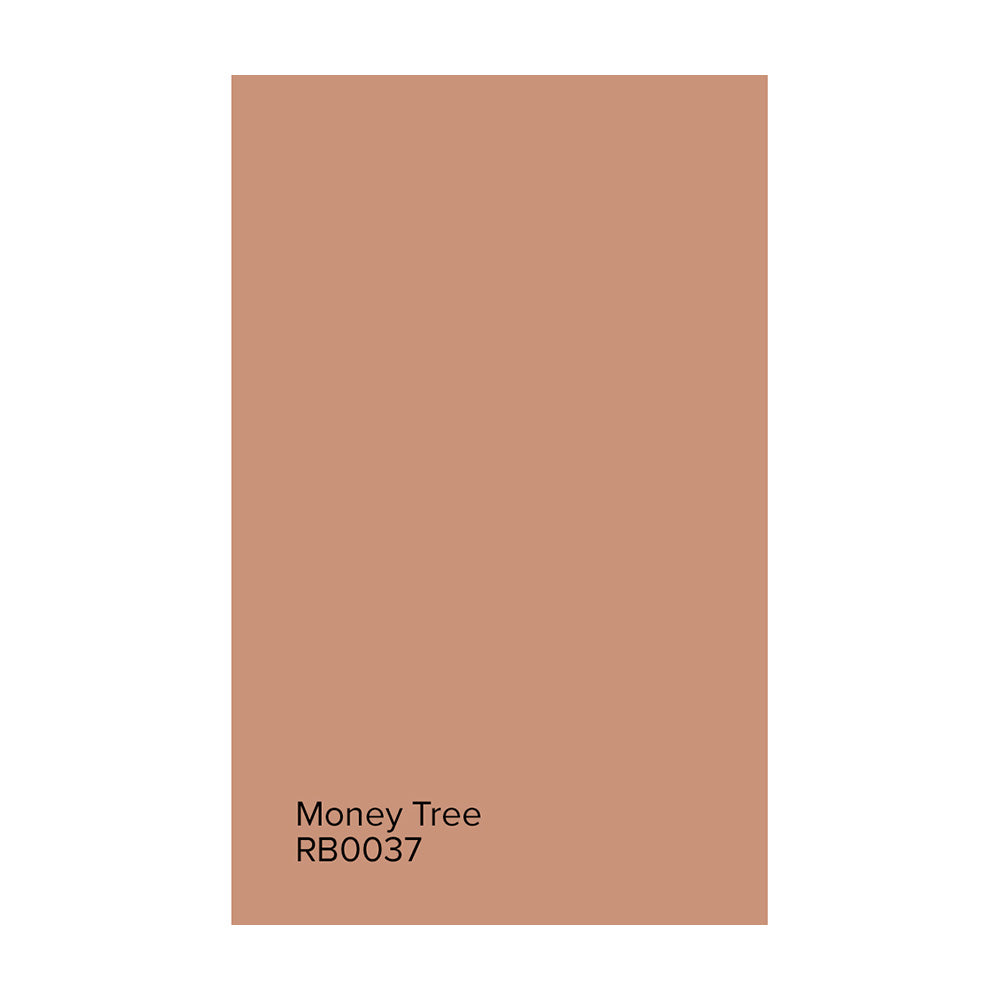 Room and Board Paint by Hirshfield&#39;s Large Paint Swatch of Money Tree.