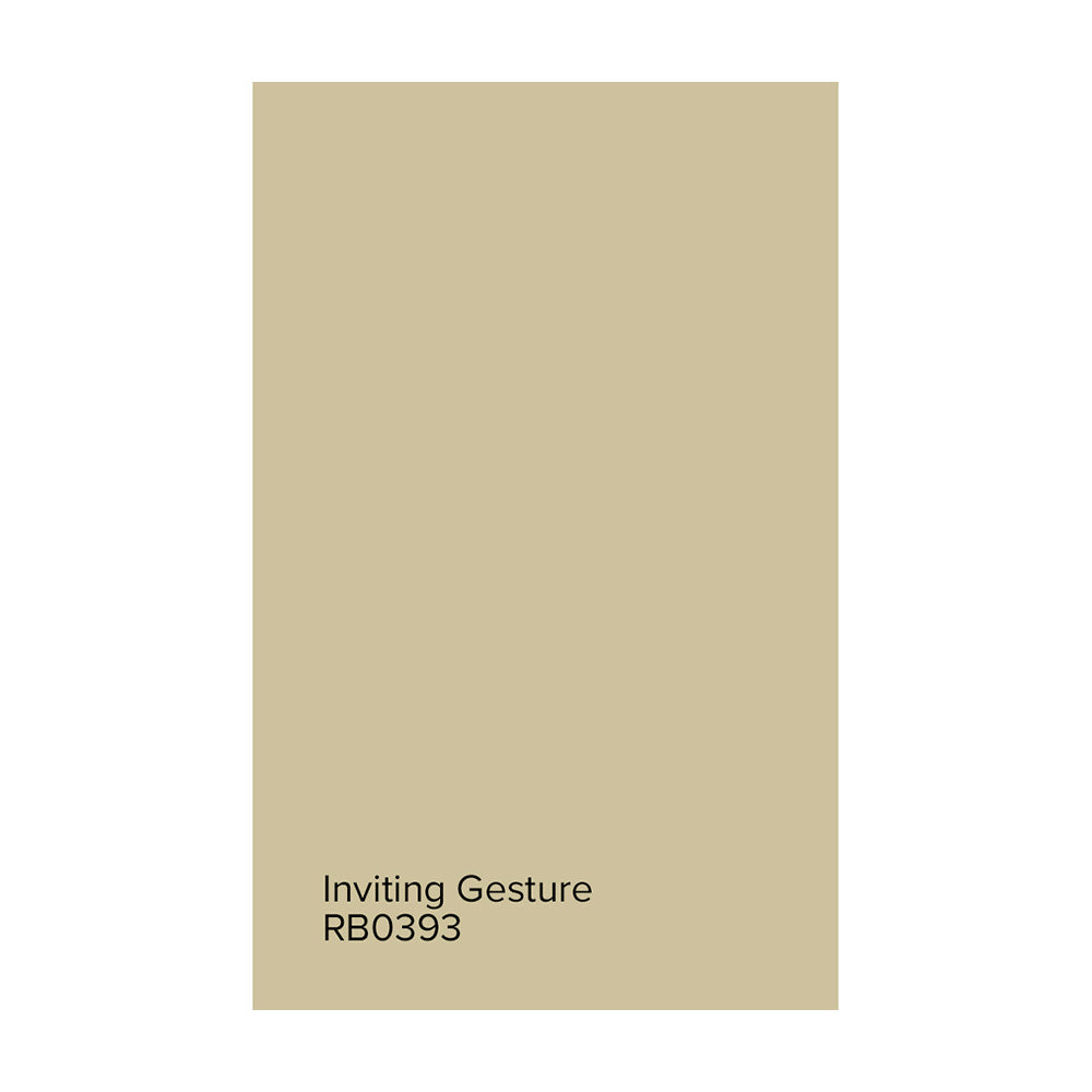 Room and Board Paint by Hirshfield&#39;s Large Paint Swatch of Inviting Gesture.