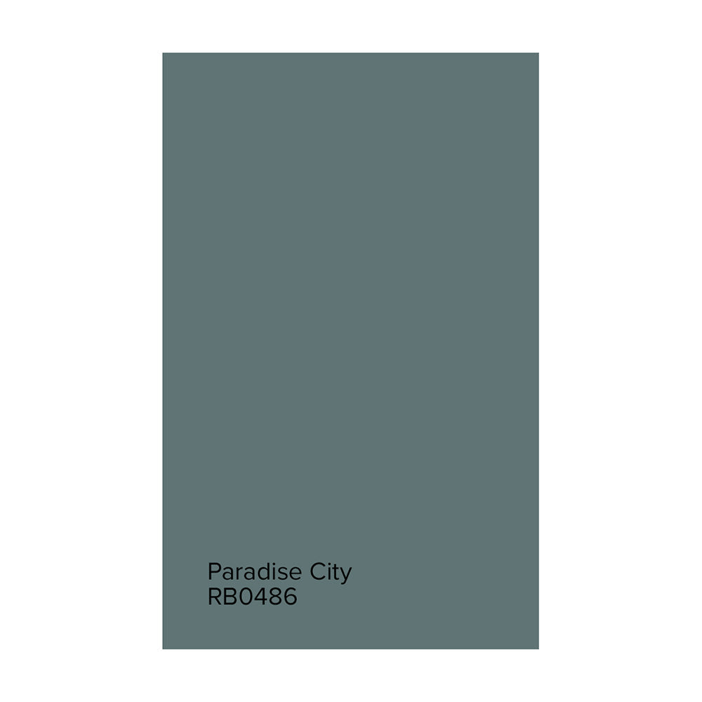 Room and Board Paint by Hirshfield&#39;s Large Paint Swatch of Paradise City.